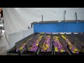 Video afspelen
