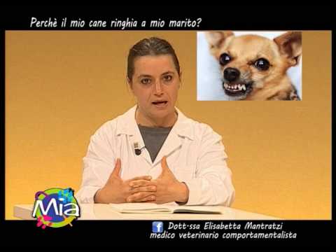 Come registrarsi lalcolismo Conclusioni di psicosi alcoliche