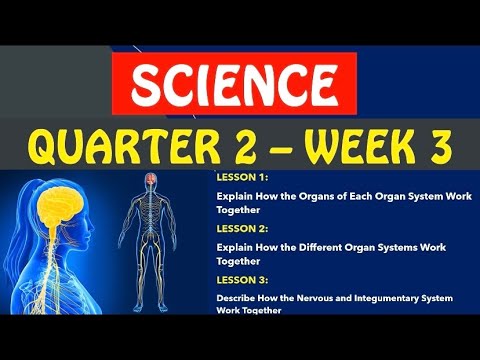 SCIENCE 6 - QUARTER 2 - WEEK 3 - MODULE 3 - LESSON 1-3