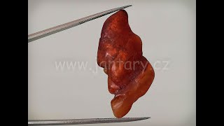 Baltský jantar P-5