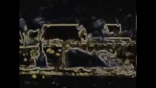 Felipe MD & Alien Contact - Macumbalien (Parte1)