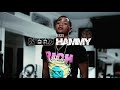Bris Need Hammy Official Music Video
