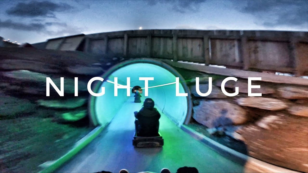 Embark on a Luge racing adventure at night to witness the scenic city-lights