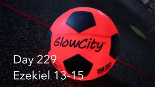 Day 229: Ezekiel 13-15 | GLOW IN THE DARK SOCCER BALL!!!