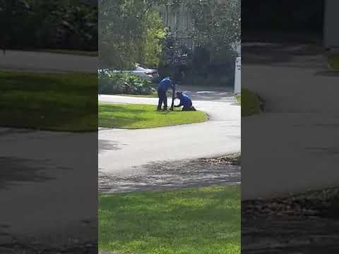 Video.Street Sign.SW 148 st - 75th Av.2019.01.16. at 11 32 45 AM 1