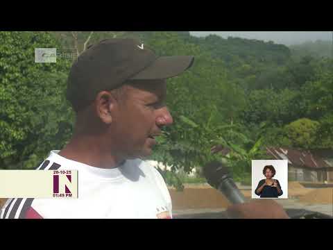 Cuba: Acciones para beneficio del café en Guantánamo