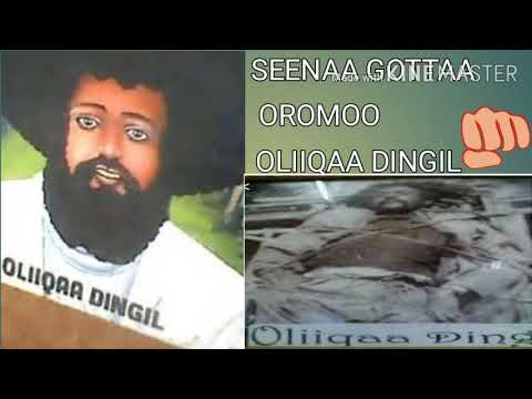 SEENAA GOTTAA OROMOO oliiqaa dingil