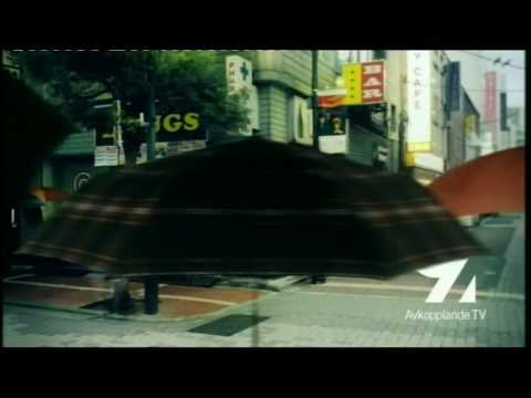 Kanal 9 ident / vinjett "paraplyer" 2008