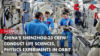 China's Shenzhou-23 Crew Conduct Life Sciences, Physics Experiments in Orbit