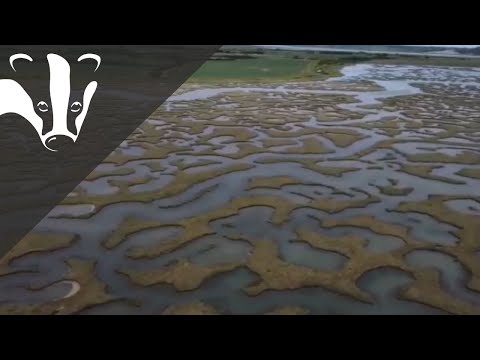 The Essex Coastal Challenge - Abbotts Hall Farm