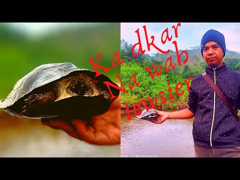 Pyllait im u Rawon ia ka dkar ha wah iewsier 👍👍