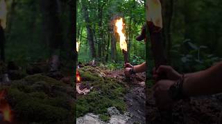 Download lagu How To Make a Torch #bushcraft #survival #shorts mp3