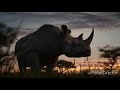 THE LION KING Classic Trailer 2019 Style
