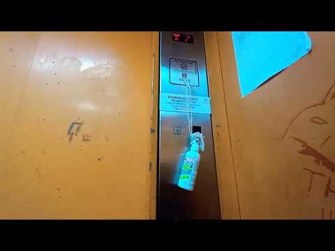 Schindler Freight Elevator at 71 Prestige Centre.