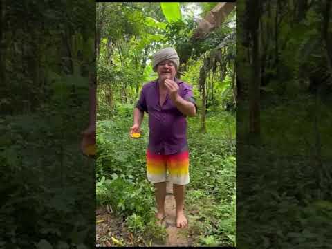 Auroville: 3-Day Permaculture Workshop at Solitude Farm