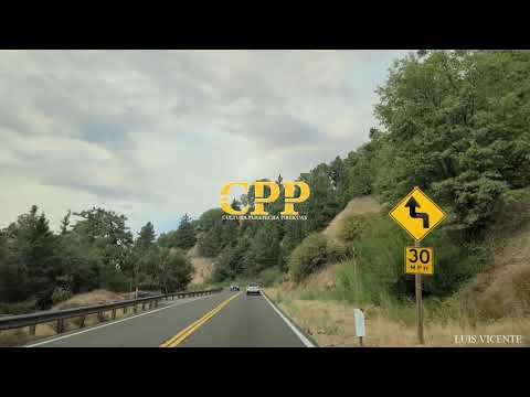 Cheques Americanos - Los Gallos De Acachuen #Pirekua