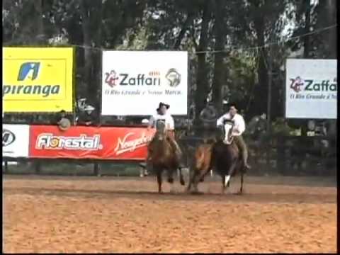 Freio de Ouro-Ganadero da Harmonia