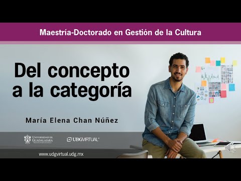 Del concepto a la categoría