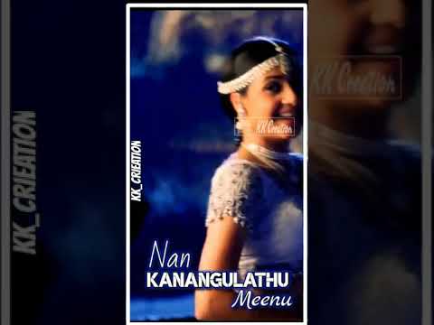 Nan kanakulathu meenu song ...💓 status video...😘