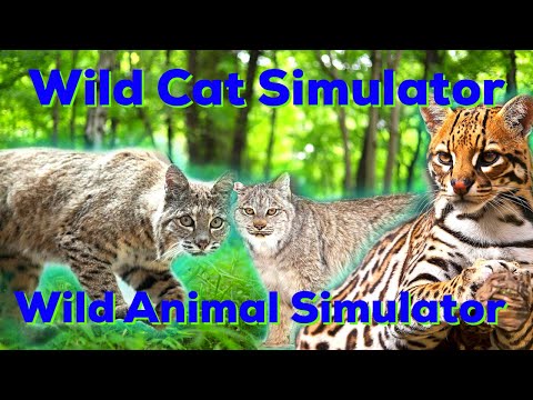 Wild Cat Simulator, Beginners Tutorials,New Simulator game Episode 1