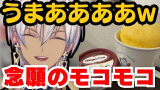 ついにモコモコを手に入れ感動しまくりのイブラヒム【イブラヒム/切り抜き】