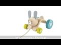 Λαγουδάκι που Κινείται Plan Toys