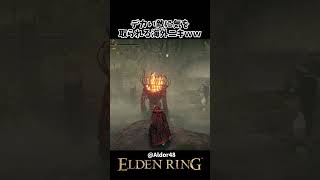 目の前のデカい敵に気を取られた結果ｗｗ #eldenring #エルデンリング #shorts