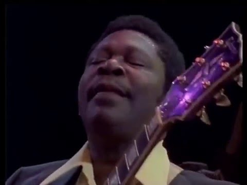 B B  King   Live in Africa