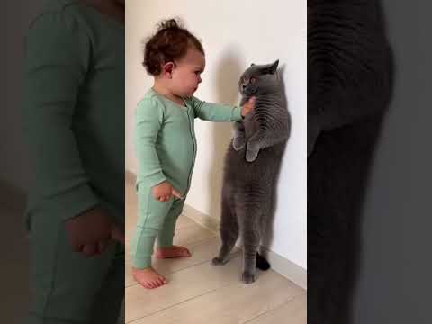 O discutie intre infractori