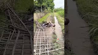 Download lagu Storywa Terbaru- Kesucian Ati#shorts .#storywaterbaru mp3