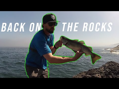 Lure Fishing UK | Pollack & Cod Love These Lures! | LRF Coalies