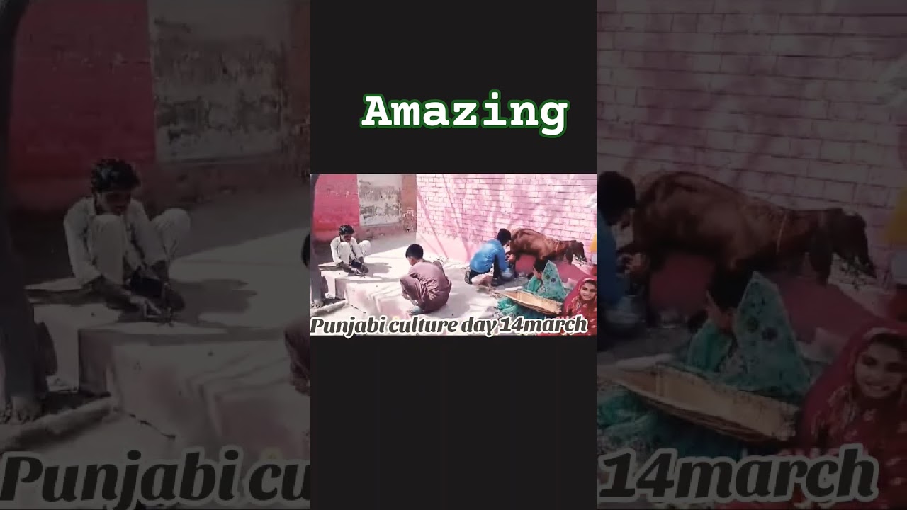 Punjab ki saqafat #culture #youtubepakistan #youtubeshorts #villagelife #punjabi #day #vlogs