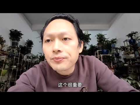 面臨問題