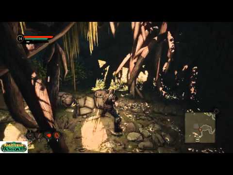 Bound by Flame --- Finding Hawk (Missing in Action) & Getting the Trophy