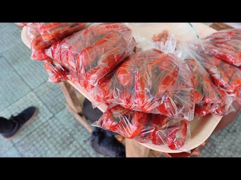 Jamaican Street food tour (Downtown Kingston)