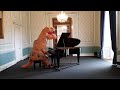 Dinosaur Playing The Piano