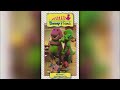 Barney Friends My Family S Just Right For Me 1992 Time Life VHS