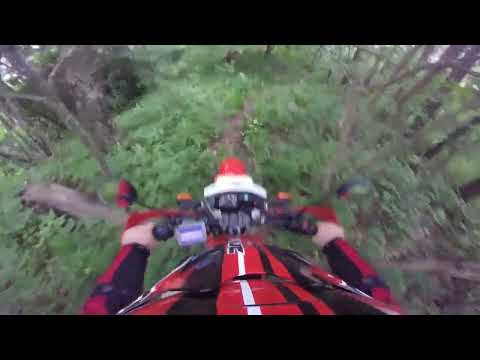 Jethro Tull Bungle in the Jungle