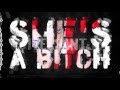 Diversant:13 - She's A Bitch (2015) 