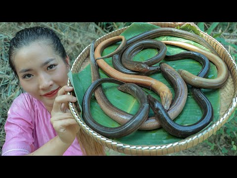 Cooking Eels Soups - How to Cooking Tasty Eels Soup Recipes