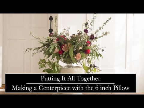 download lagu mp3 mp4 Holly Chapple, download lagu Holly Chapple gratis, unduh video klip Holly Chapple