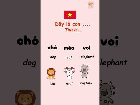 Learn Vietnamese everyday | Animals | Vocabulary #learnvietnamese #easyvietnamese