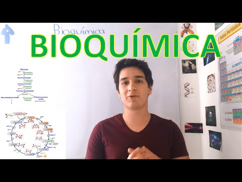 Introduction to Biochemistry. Beginner level. IN 6 MINUTES