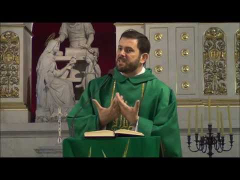 Homilia Ks. Carlosa 14.07.2013 - XV NIEDZIELA ZWYKŁA C