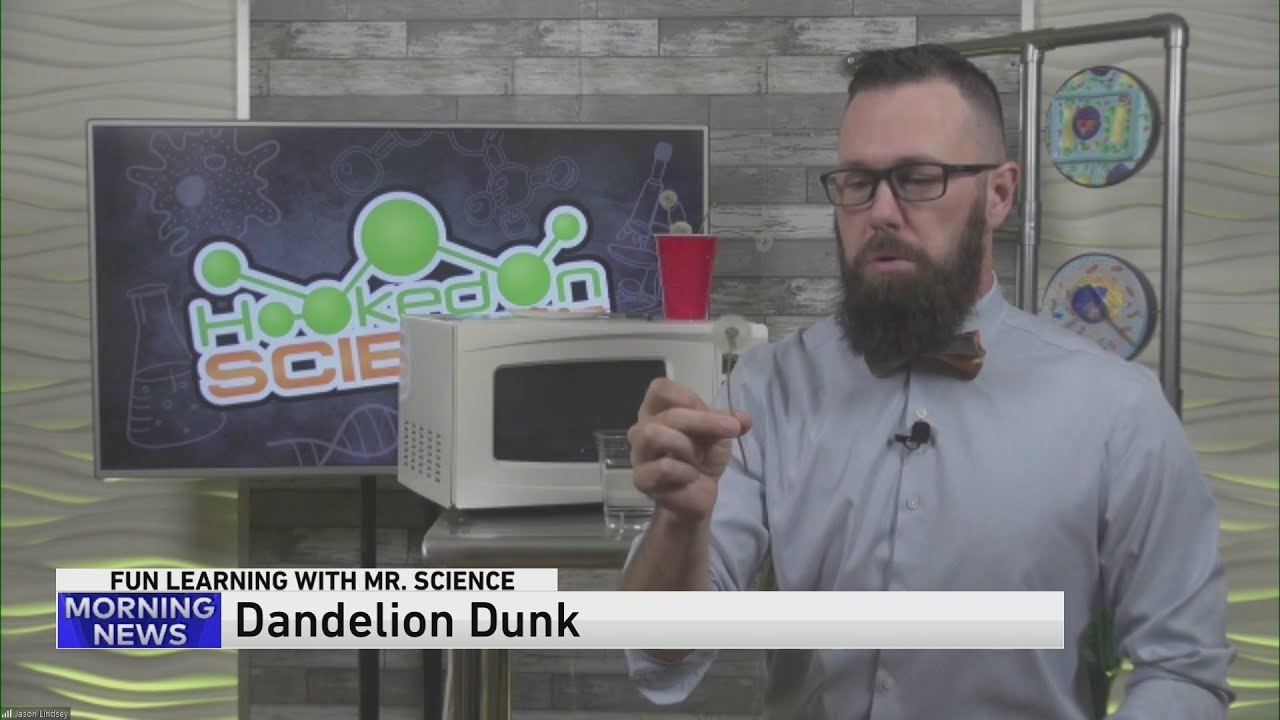 Summer Science Experiments