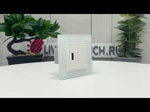 Розетка USB с блоком питания 2.1А 5В Livolo, цвет белый (механизм) BB-C7-1USB-11