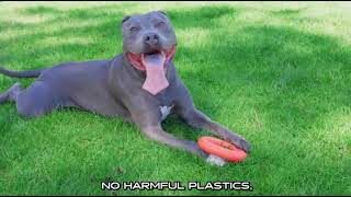 Monster K9 Indestructible Chew Ring   Lifetime Replacement   Medium  Large Breeds  Line