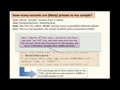 BroadE: Variant manipulation & analysis