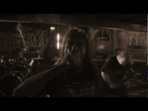 REVEL IN FLESH - Revel In Flesh - official video clip