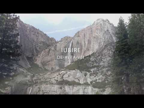 Tamara Moga- O nu-s mai tari ispitele | Official Lyric Video